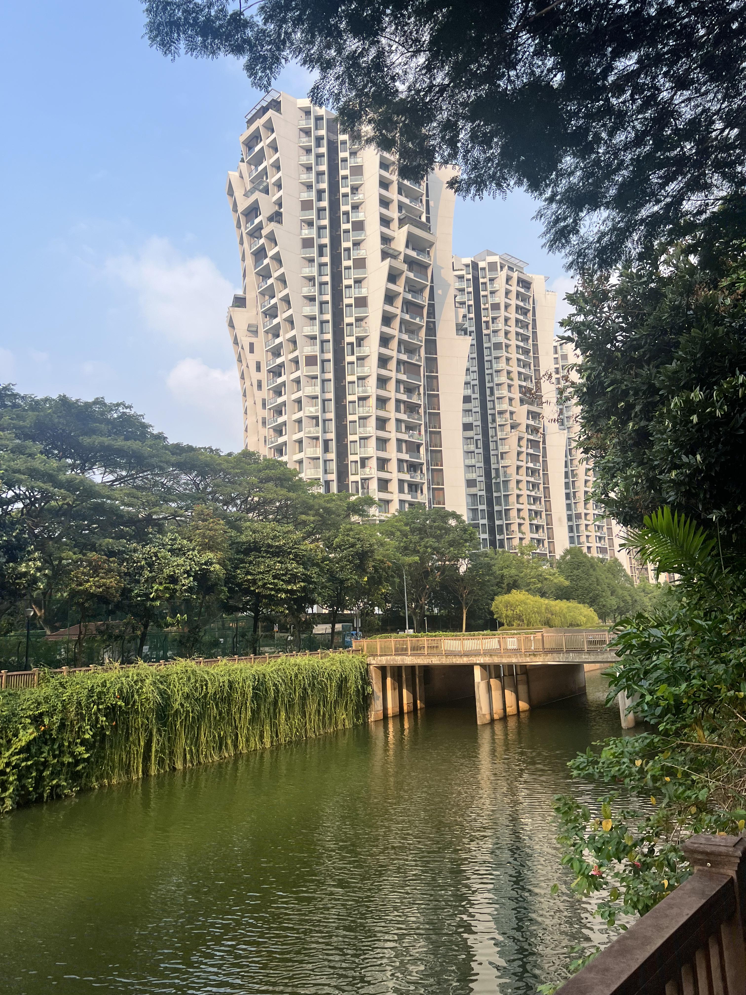 Walking along Alexandra Canal